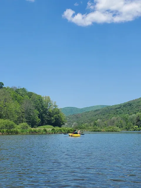 Susan's Pleasant Pheasant Farm