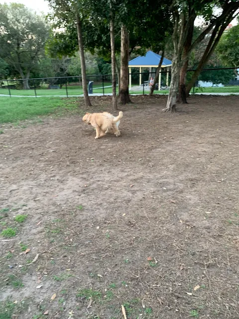 Dog off-leash area Crosby Park