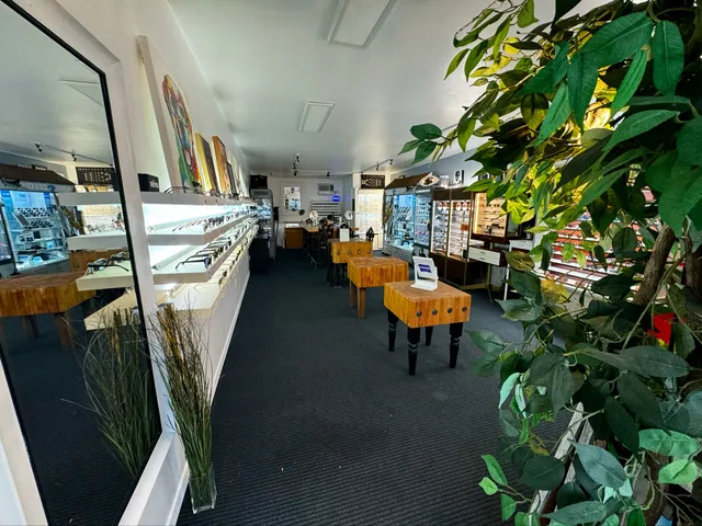 Optical Shop of New Hope