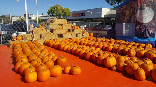 ABC Tree Farms & Pick of the Patch Pumpkins - Camden