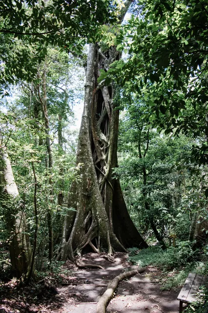 Valle Escondido Nature Reserve