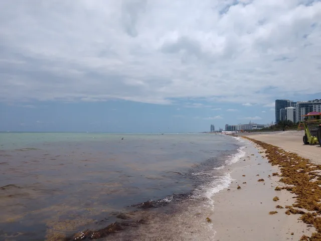 Miami Beach Parking Lot