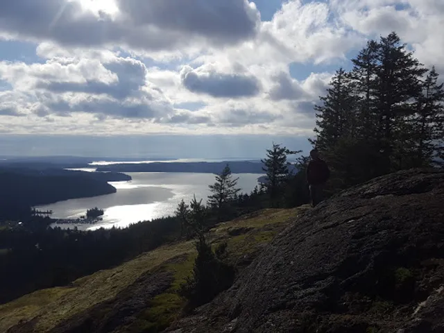 Turtleback Mountain
