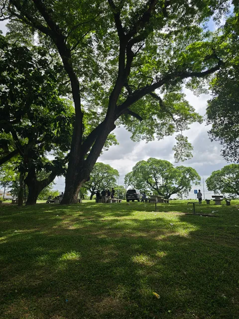Clark Nature Park, Incorporated