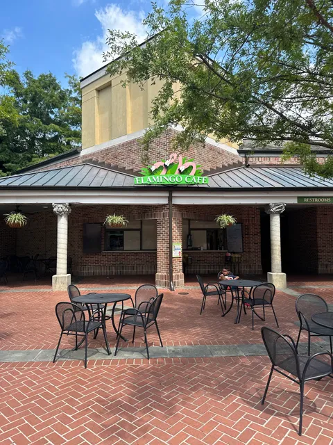 Flamingo Café