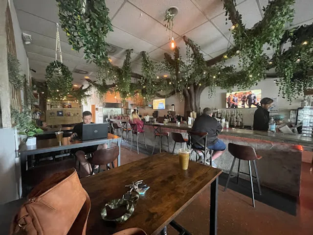 Tribe Tea House and Kava Bar Largo