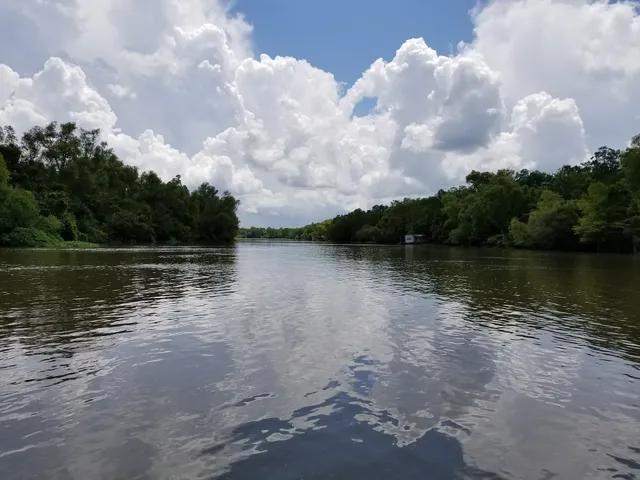 Bayou Vista