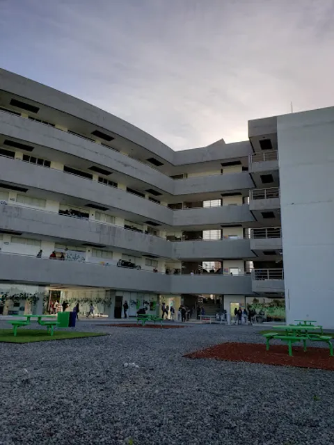 Café Punta Del Cielo Tec Milenio Toluca