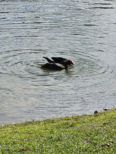 Jessie Brock Community Center