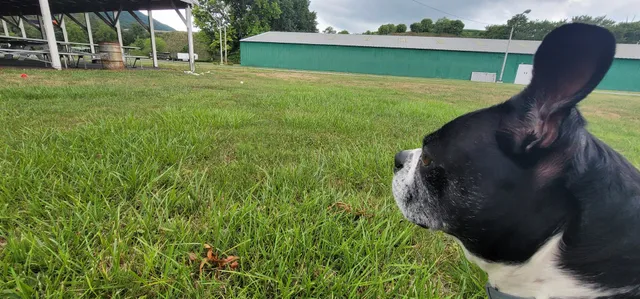 Mifflin County Youth Park
