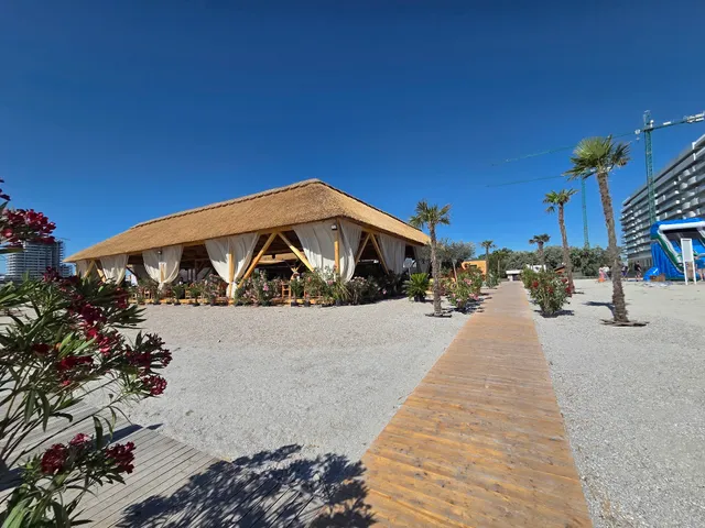 Lilly Studio Axxis Beach