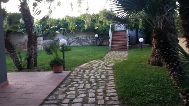 Sunshine on the Port