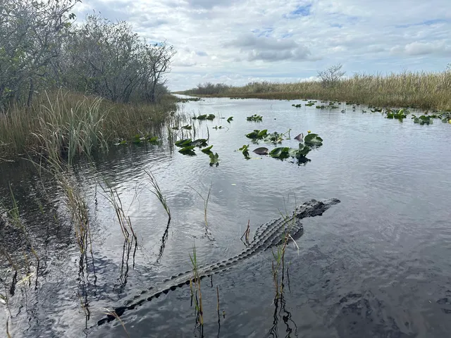 Air Boat USA South Location