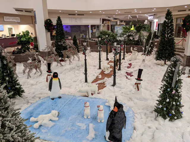 Rotterdam Square Cinema