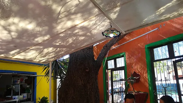 Jardín de los Canarios