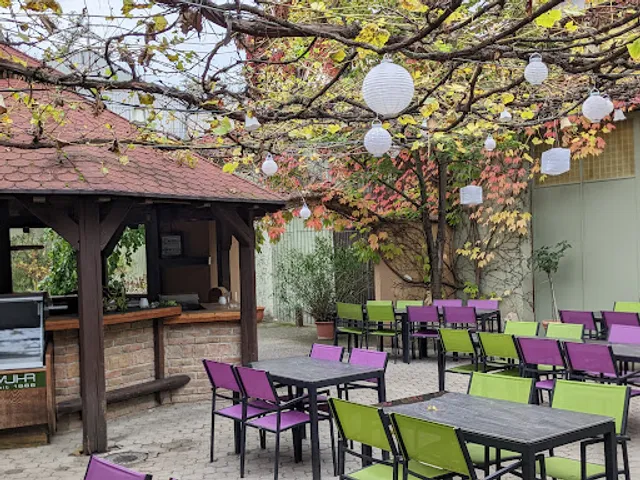 Alexander Muhr - Gallbrunn