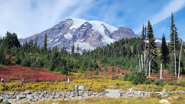 Paradise Wilderness Information Center