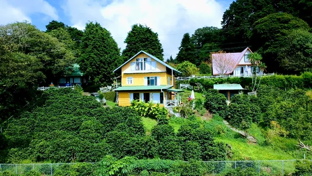 Finca La Petisa Cucu Coffee Plantation