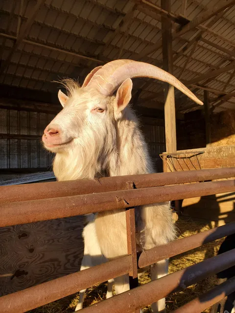 Kellner Back Acre Garden