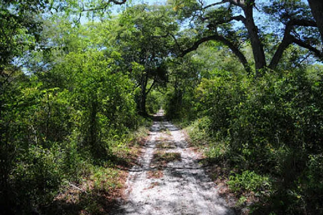 Arabuko Sokoke Forest Reserve