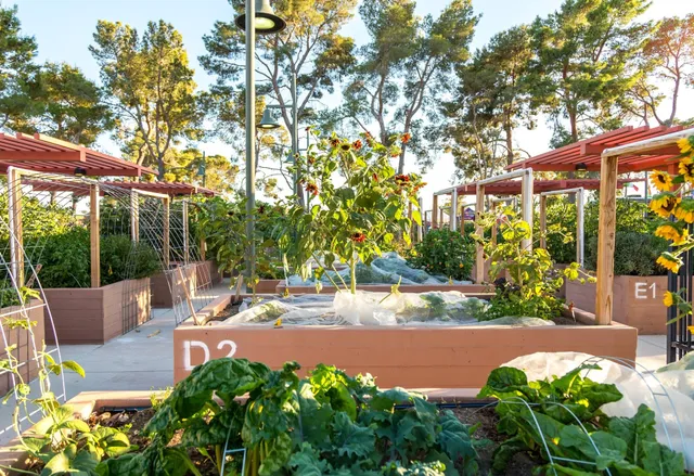 Garden Farms of Nevada, Las Vegas | Garden Farms Foundation