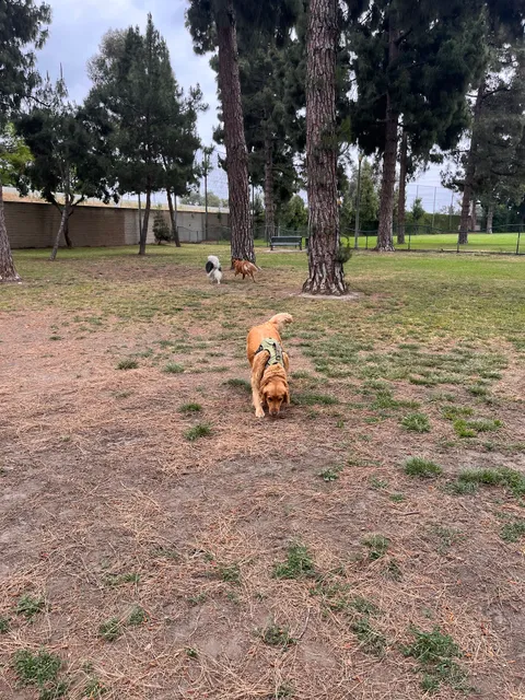 Coolidge Dog Park