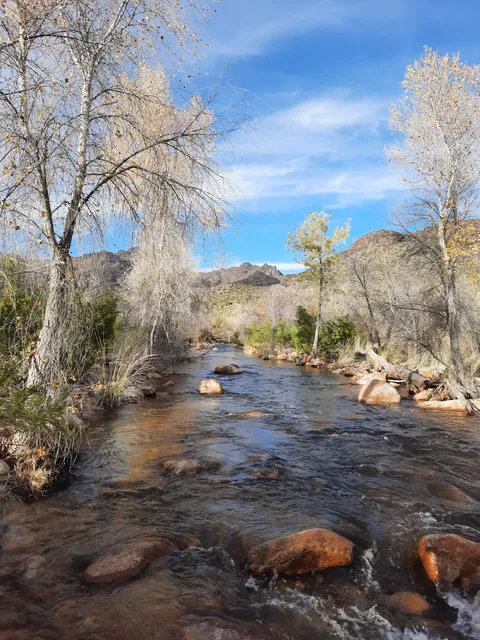 Sabino Creek