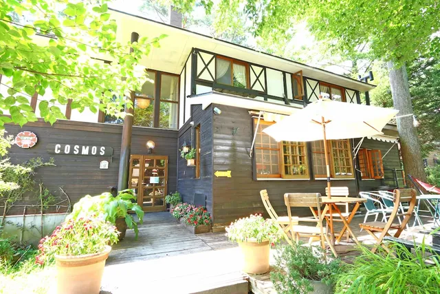 FOREST RESORT COSMOS