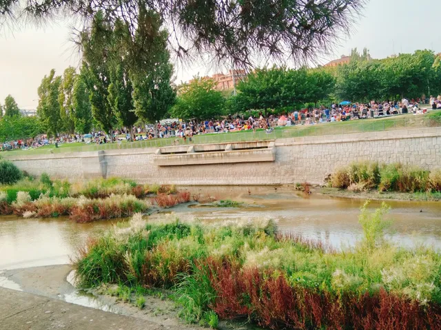 Chorros n°1 de la Playa de Arganzuela