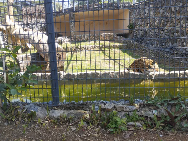 Zoológico de Sorocaba "Quinzinho de Barros"
