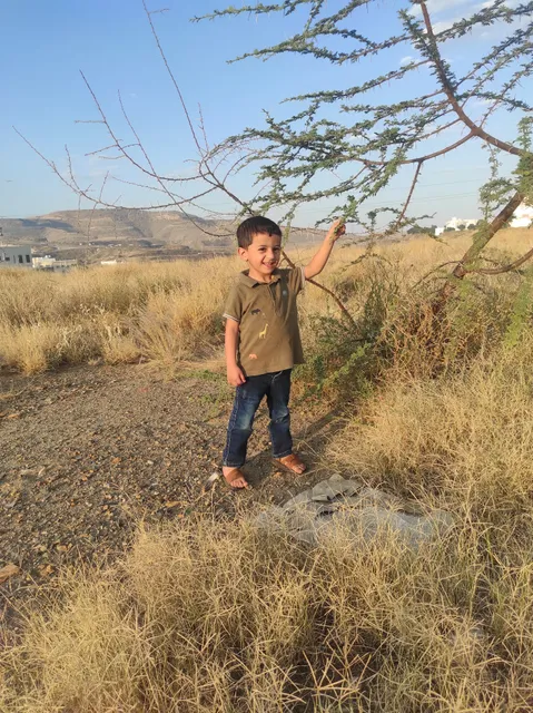 أبها البهية