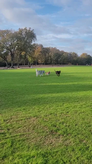 Dog Park at Windhaven Meadows Park