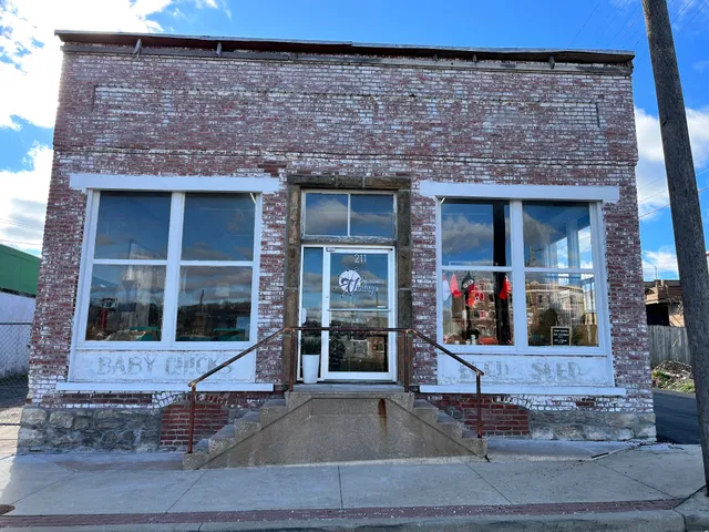 Past to Present Vintage