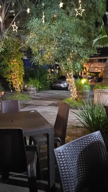 Indian food palace santo domingo