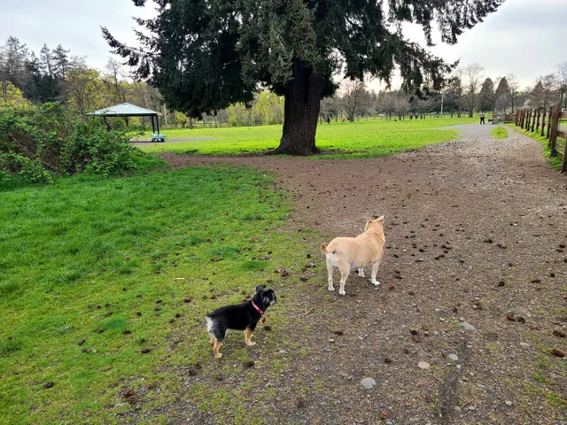 Fort Steilacoom Dog Park Parking