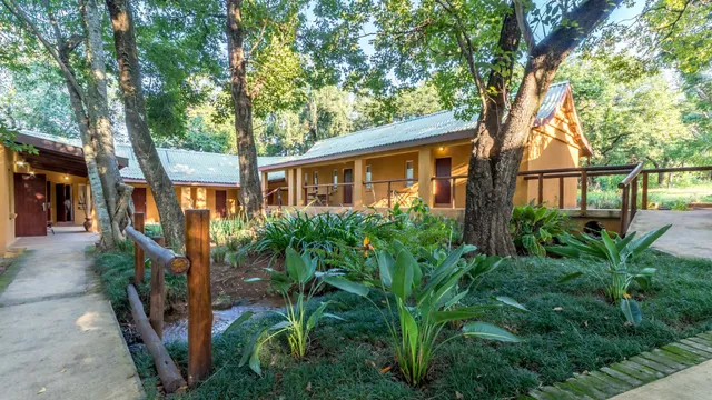 Gecko Lodge Hazyview