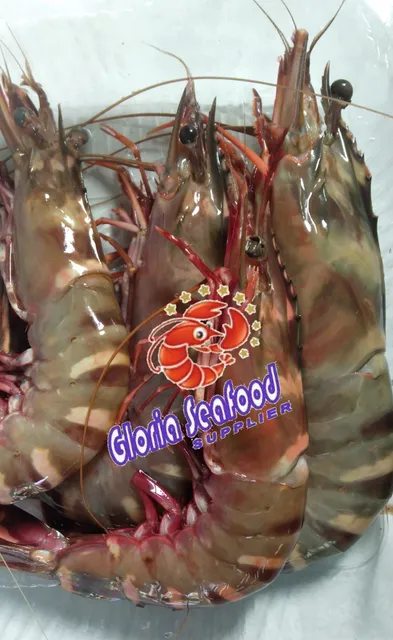 GLORIA SEAFOOD SUPPLIER BALI