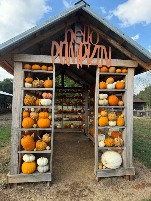 The Father's Field Pumpkin Patch & Market Place
