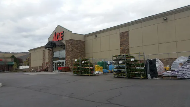 Ace Hardware - Keene Road