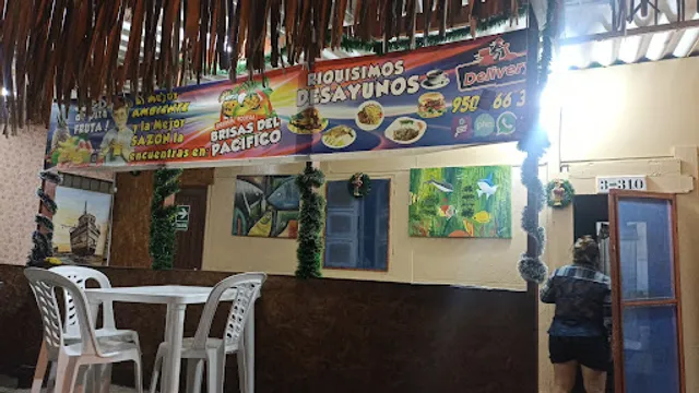 Bodega jugueria brisas del pacifico