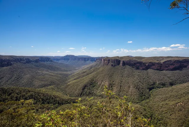 Cliff Top walking track