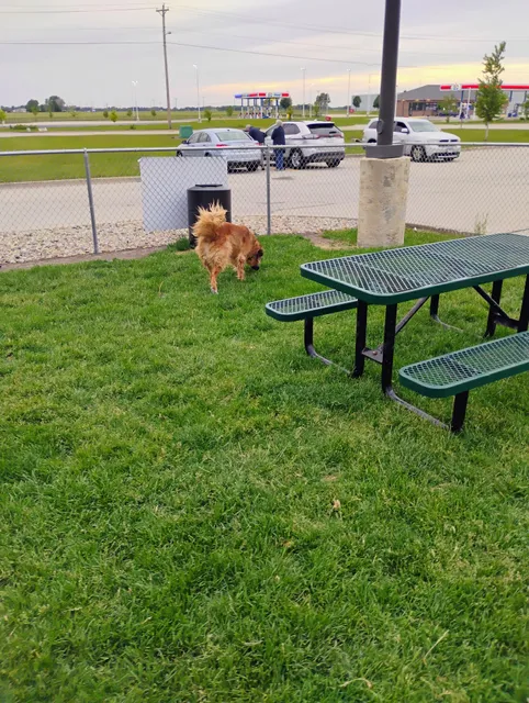 Dog Park at Love’s Travel Stops