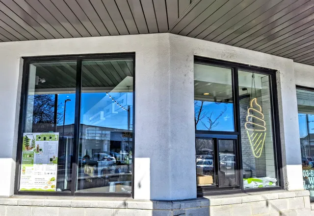 Kyo Matcha Alexandria