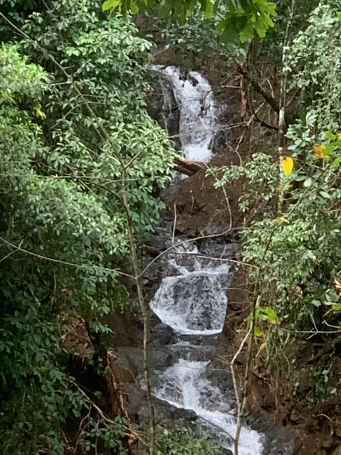 Cascadas Gracie Falls