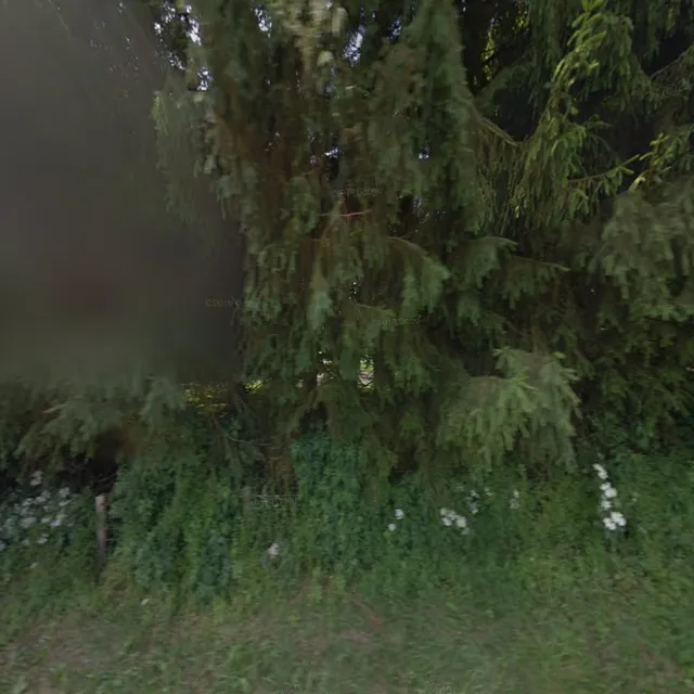 Fermette De Lamerlé