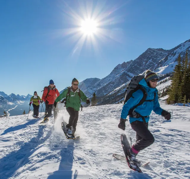 White Mountain Adventures