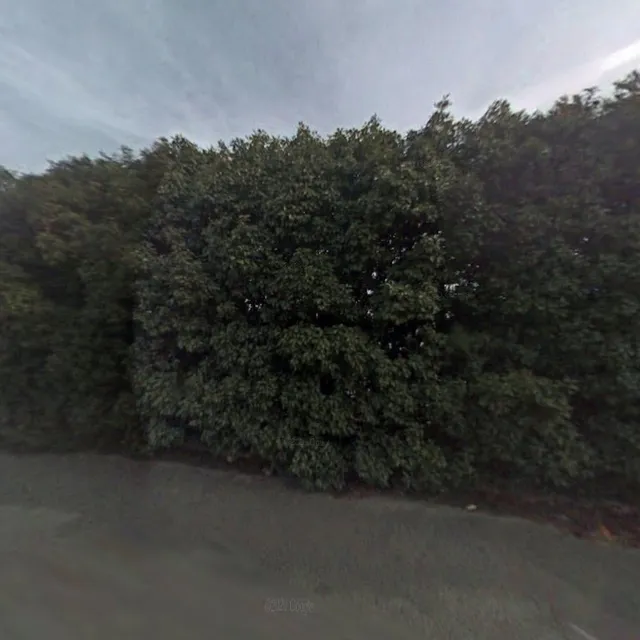 Webb’s Automotive Sales and Service - NAPA