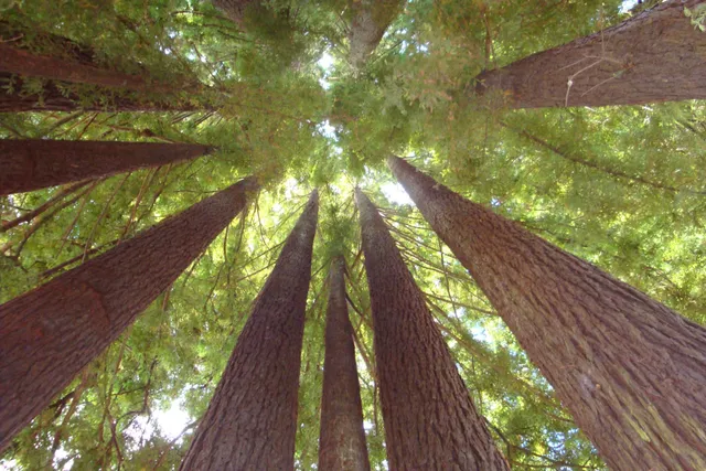 Humboldt County Visitors Bureau