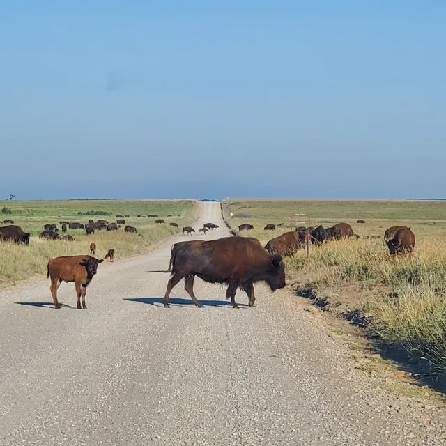 Tall Grass Prairie Preserve Marker