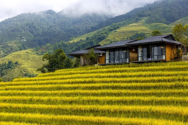 Black Ship - Veshia Sapa